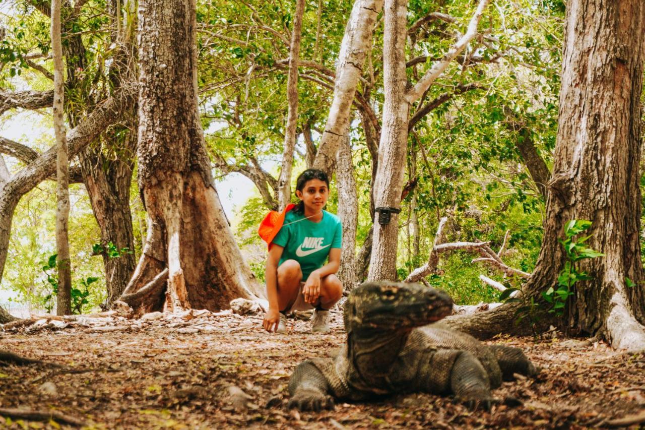 Komodoku One Love Homestay And Tour Labuan Bajo Eksteriør bilde