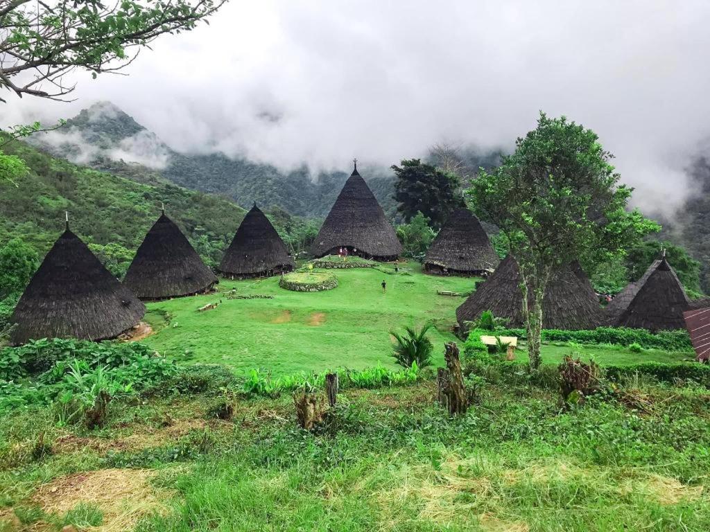 Komodoku One Love Homestay And Tour Labuan Bajo Eksteriør bilde